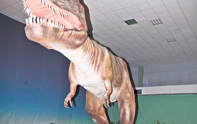 Hai în lumea dinozaurilor!