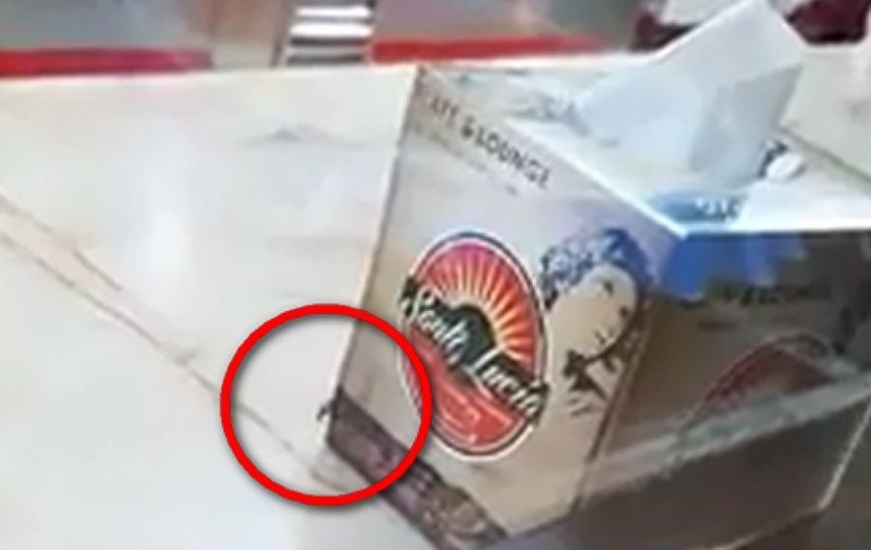VIDEO | Fast food din Galați, închis după ce un client a filmat gândaci în vitrine. Amenzile primite de proprietarul localului