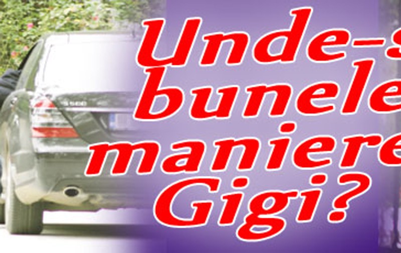 Unde-s bunele maniere, Gigi?