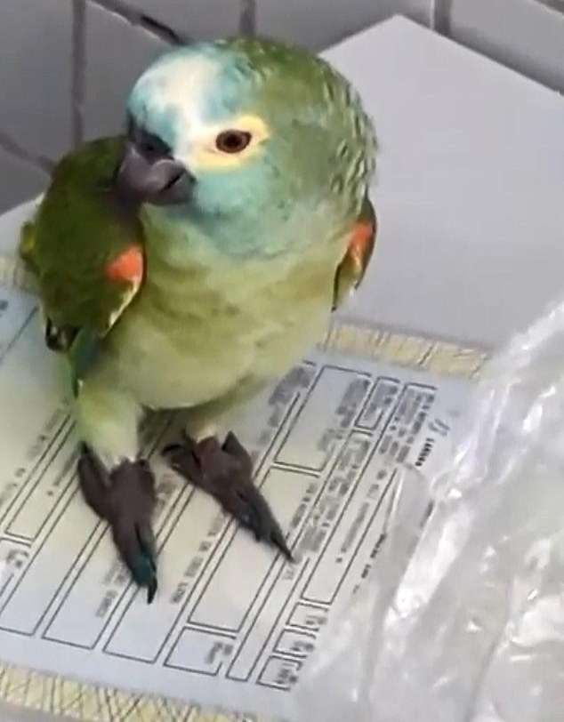 Foto