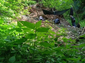 Imagine din timpul lucrărilor în sit. Foto: Vălioara Dinosaur Research Group (VDRG)