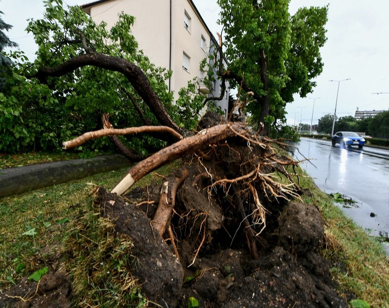 Furtună violentă în Croația. Trei oameni au murit. „Aproape că nu există stradă din Zagreb care să nu fi suferit consecințele vântului devastator”