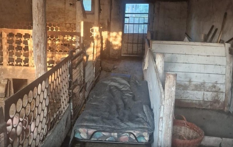 Un bărbat cu probleme psihice, bătut şi exploatat prin muncă de un cuplu din Bihor timp de 13 ani