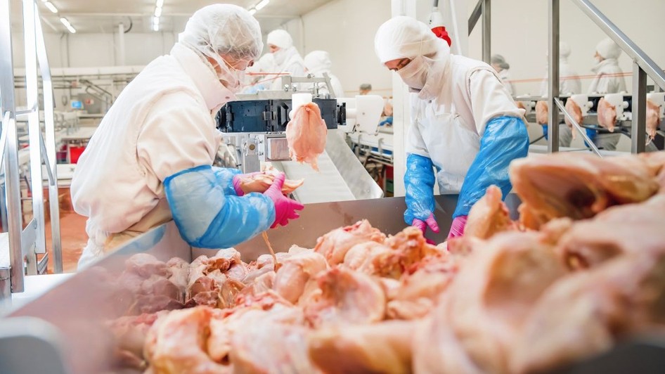 Oameni lucrând într-o fabrică de procesare a cărnii de pui. Foto: Shutterstock