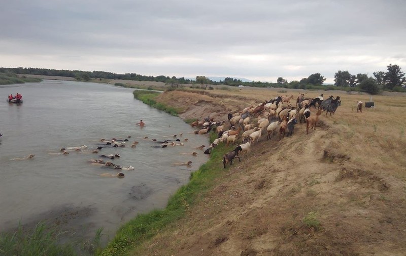 Cod portocaliu de inundaţii pentru râuri din 14 judeţe. Cod galben pentru 34 de judeţe