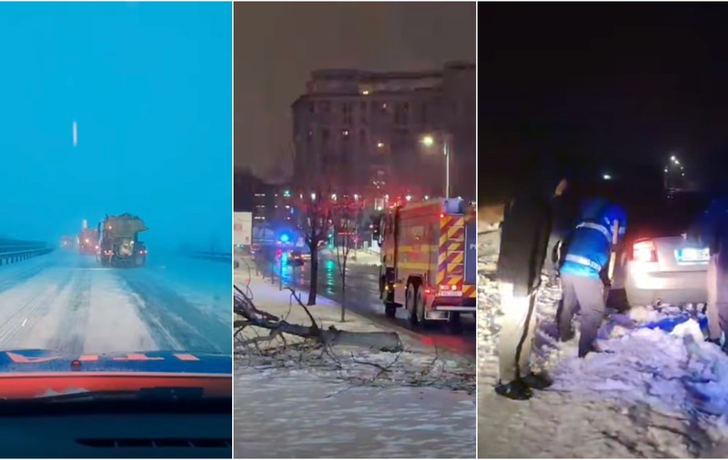 Codul galben de ninsori și viscol a făcut prăpăd în mai multe județe: copaci rupți și mașini distruse în București, drumuri închise sau restricționate în 16 județe | VIDEO