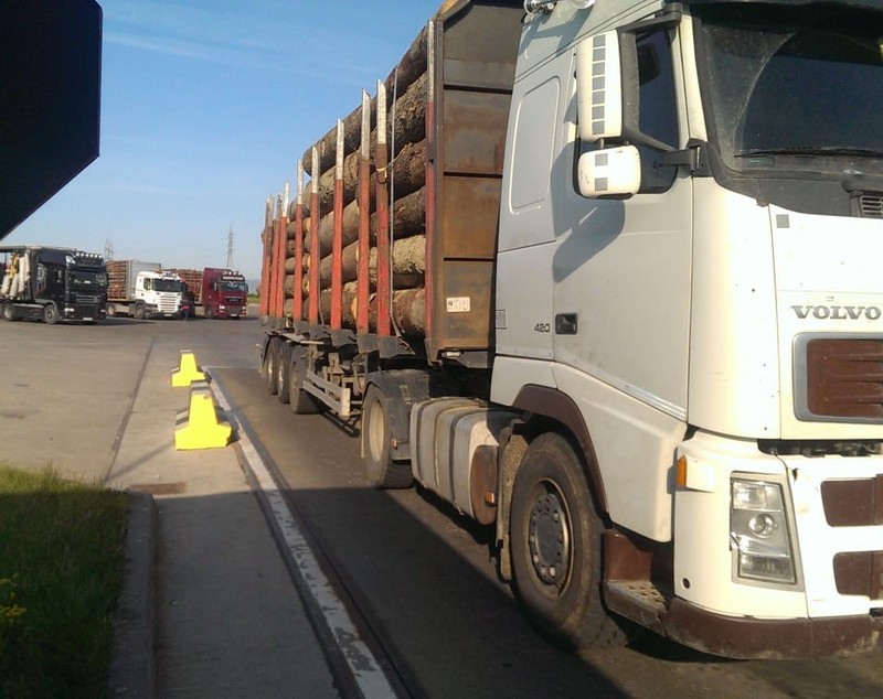 Percheziții DIICOT la Holzindustrie Schweighofer, cel mai mare exportator de lemn din România