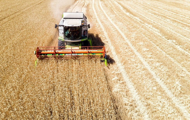 Prețul cerealelor a explodat, din cauza războiului din Iran: criza fertilizatorilor le va scumpi și mai mult