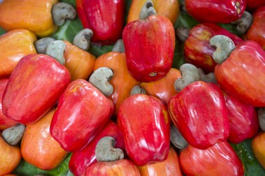 Fructul de caju