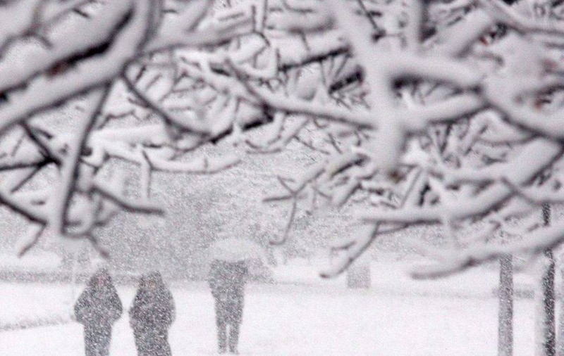 Directorul ANM: Marţi, posibil cea mai geroasă dimineaţă din această iarnă. -28 grade Celsius