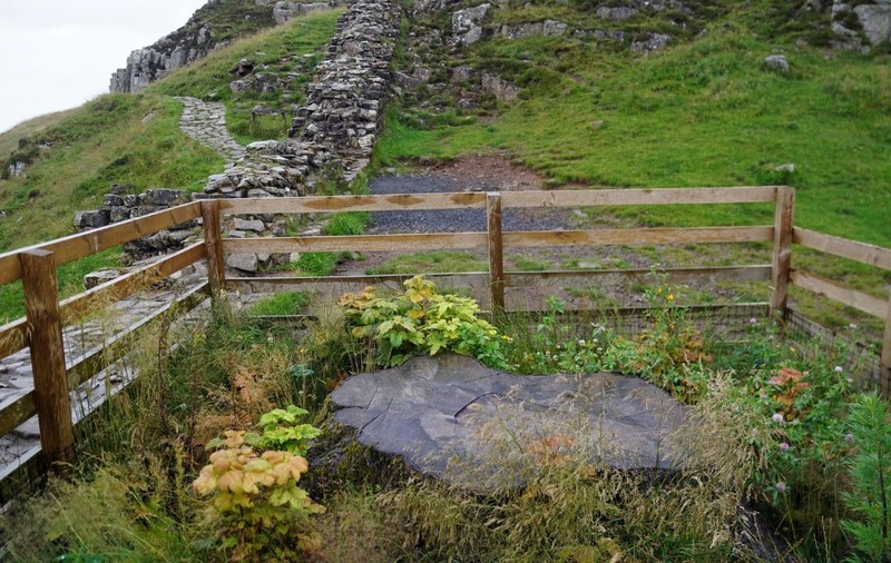 „Idioții” care au tăiat copacul de sute de ani „Sycamore Gap” au fost condamnați la închisoare. Cei doi au spus că l-au retezat pentru că erau beți