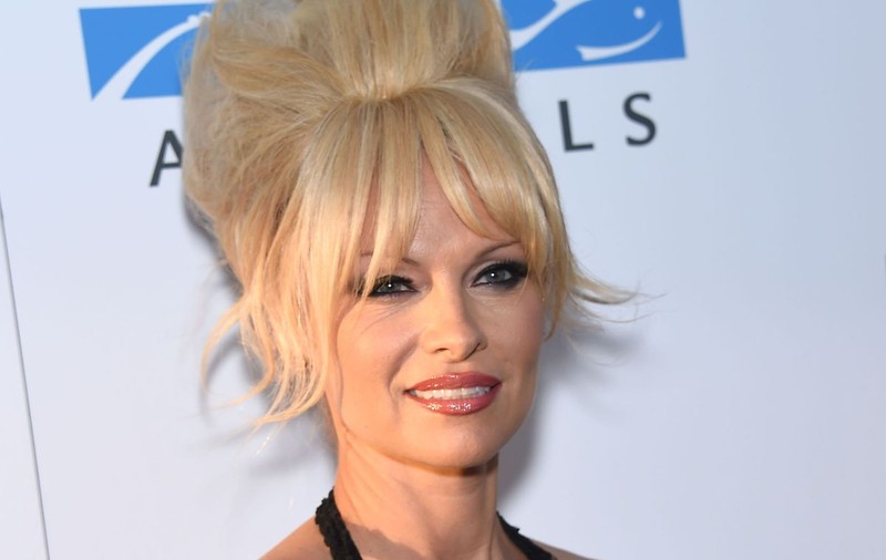 PAMELA ANDERSON, "CIOPÂRŢITĂ" în PHOTOSHOP! În ce HAL au putut să o MODIFICE!