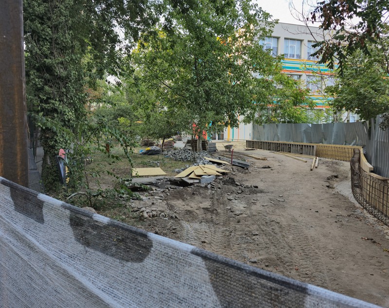 Au băgat excavatorul ca să facă șanțuri pentru gardul unei școli din București și au rupt rădăcinile a zeci de copaci
