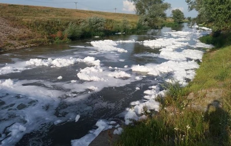 Poluare pe apele din Iași. Sute de pești au murit din cauza spumei albe