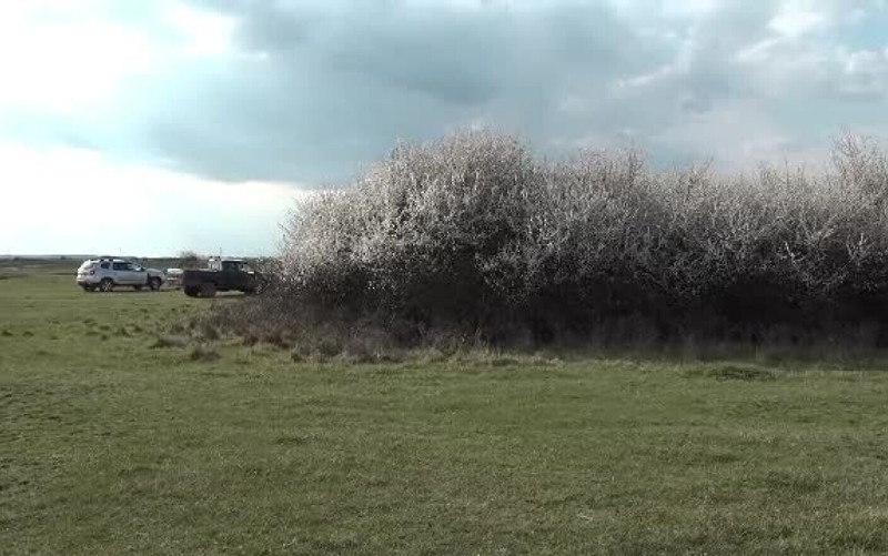 Locul în care a fost găsit Sebi