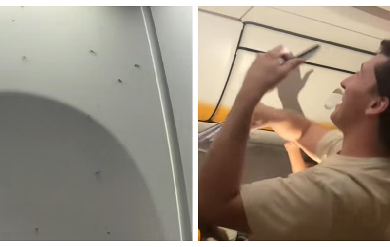 Invazie de țânțari într-un avion Ryanair care era plin și se pregătea să decoleze de la Milano: „Am crezut că mă vor mânca de vie” | VIDEO