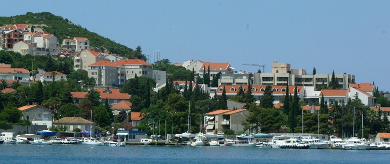 Arhiva foto