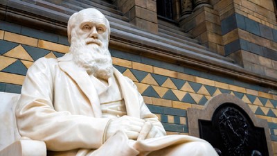 Statuia lui charles Darwin - Londra
