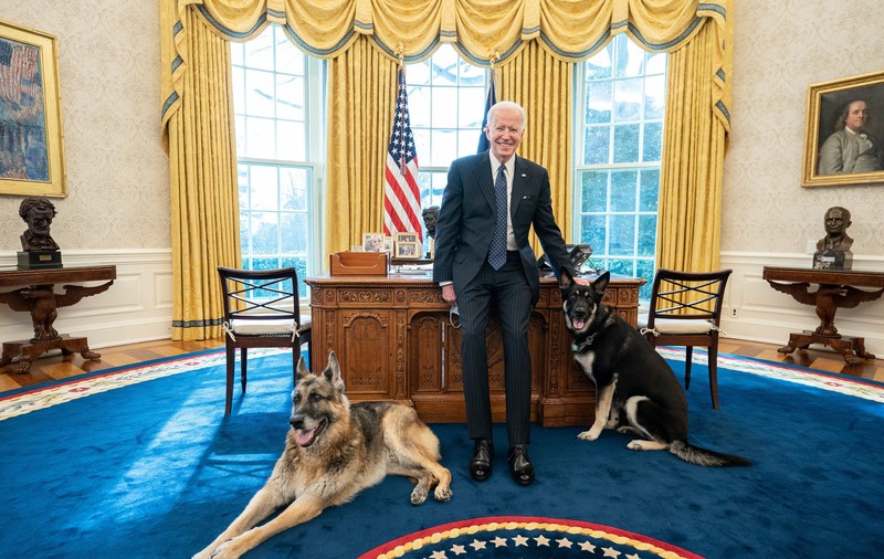 Câinii președintelui american Joe Biden, dați afară de la Casa Albă, după ce unul dintre ei a atacat un agent de securitate