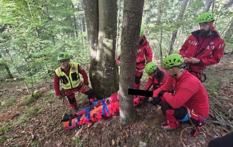 Incident mortal într-o pădure din județul Mureș! O persoană și-a pierdut viața, iar alte două sunt în stare gravă
