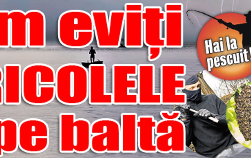 Cum eviţi pericolele de pe baltă