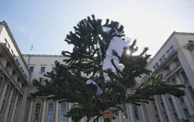 Protestatarii au pus amenzile primite de la Jandarmerie într-un brad la MAI