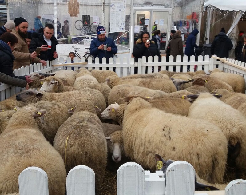 FOTO/Târgul de Crăciun din Saint-Denis - Paris are puțin din farmecul românesc. Un artizan francez imprimă haine cu imagini din București