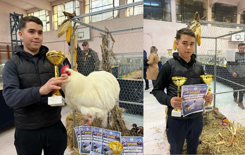 Un elev de 16 ani din Bistrița, care crește sute de păsări de rasă, a câștigat 11 titluri de campion