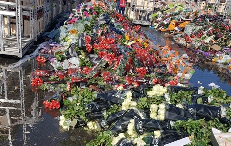 Dezastru în Olanda, din cauza coronavirusului: cea mai mare bursă de flori din lume s-a prăbușit, se aruncă tone de plante la gunoi. Valoarea anuală a tranzacțiilor depășește 50.000.000 de euro