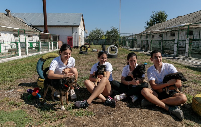 „Îi oferi o viață, iar când crește, îl arunci pe stradă. Ăsta este egoism”. Patru studenți din Turcia au grijă de câinii abandonați din București