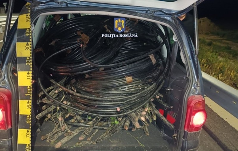 Cinci bărbați din Brăila, prinși când „furau curent” la propriu: aveau în mașină 500 de kilograme de conductori electrici