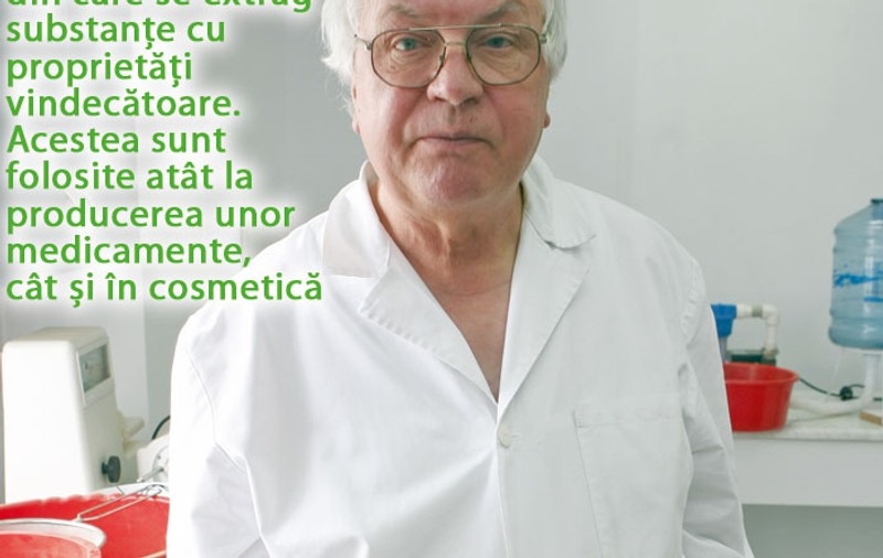 Vindecă-te cu ajutorul gândăceilor