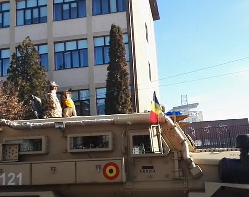 Câinele Biță, mândria Vâlcii, vedetă pe pagina de Facebook a MAPN-ului