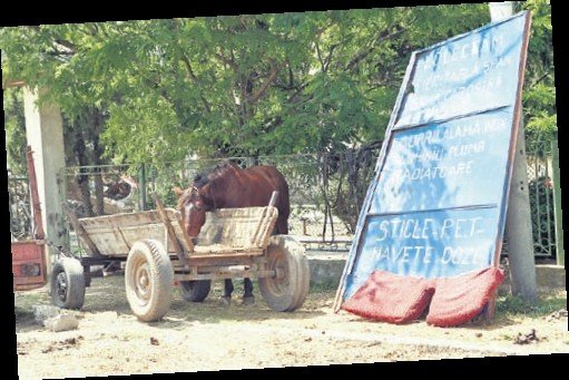 Trei cai, obligaţi să tragă în direcţii diferite două căruţe legate între ele