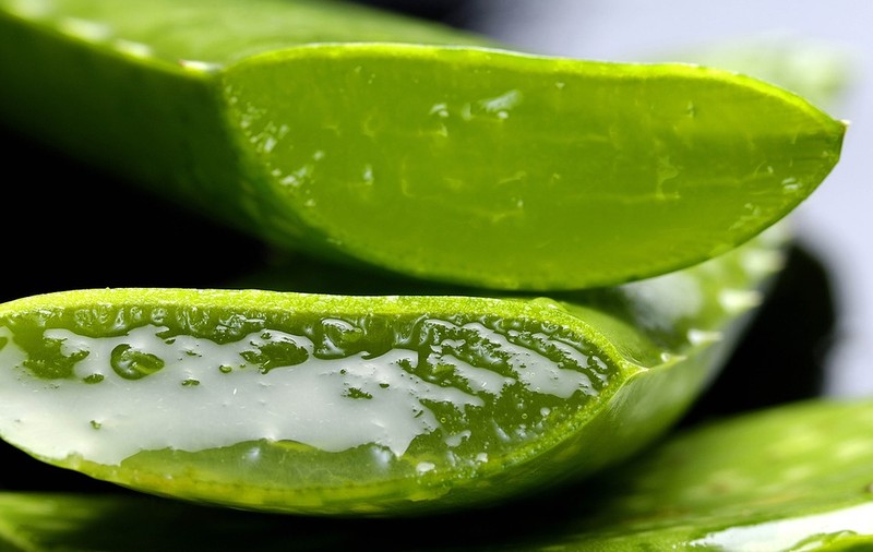 Gelul din aloe vera, un medicament natural pentru organism!