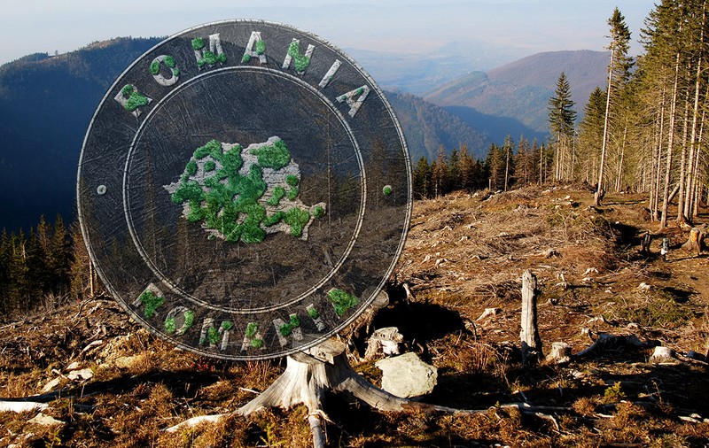 România a pierdut 453.000 de hectare de pădure în 20 de ani. Suceava este polul exploatării lemnului