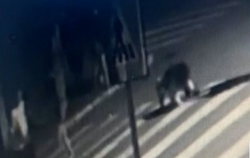 Mandate de arestare pentru cei doi adolescenți care au lovit și înjunghiat un tânăr de 17 ani, la Turnu Măgurele. Unul dintre agresori nu a fost prins