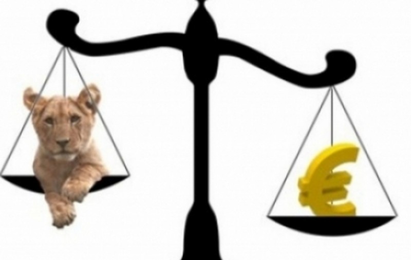 Este cea mai bună lună pentru moneda românească din ultimii ani. Cursul anunțat astăzi de BNR