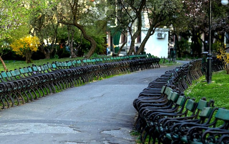 USR a obținut în instanță anularea proiectului de reabilitare a Parcului Cișmigiu, propusă în mandatul Gabrielei Firea