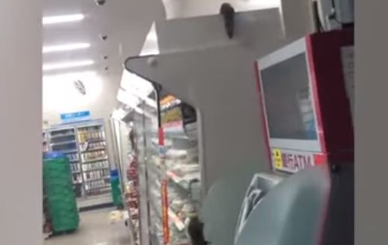 O înregistrare video cu un magazin din Japonia invadat de șobolani a devenit virală