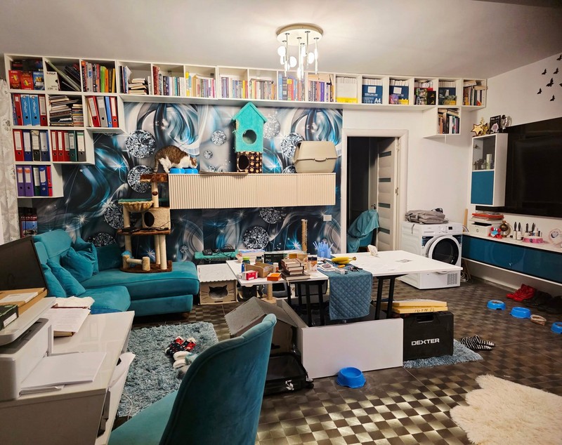Imagini din apartamentul în care locuiește Mihai Trăistariu. Sufrageria a devenit camera pisicilor