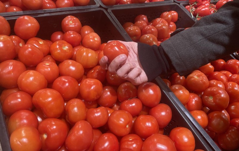 Marocul exportă legume de 4 miliarde de euro, dar evită România din cauza logisticii. „Aveți cea mai bună poziție dată de Dumnezeu, dar nu e dezvoltată suficient”