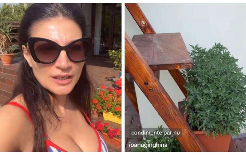Imagini cu grădina Ioanei Ginghină. Ce legume a cultivat vedeta și cine se ocupă de ele. „Să nu ziceți că nu fac nimic. Am zis să vă arăt”