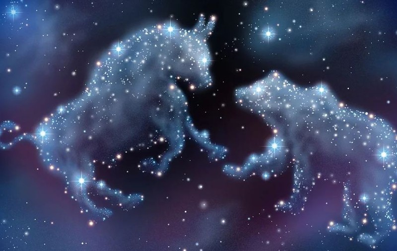 Horoscop sâmbătă 23 februarie 2019. Peștii au nevoie de o schimbare