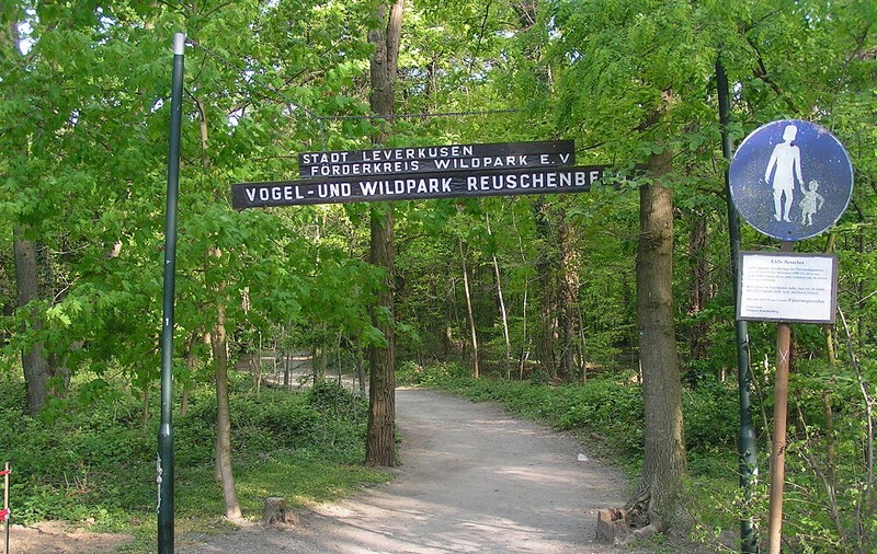 Înmormântarea liderului unui clan interlop din Germania a închis grădina zoologică din apropierea cimitirului