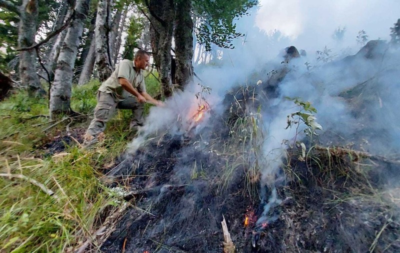 Incendiu de pădure în Munţii Căpăţânii. Patru hectare de copaci tineri au fost cuprinse de flăcări