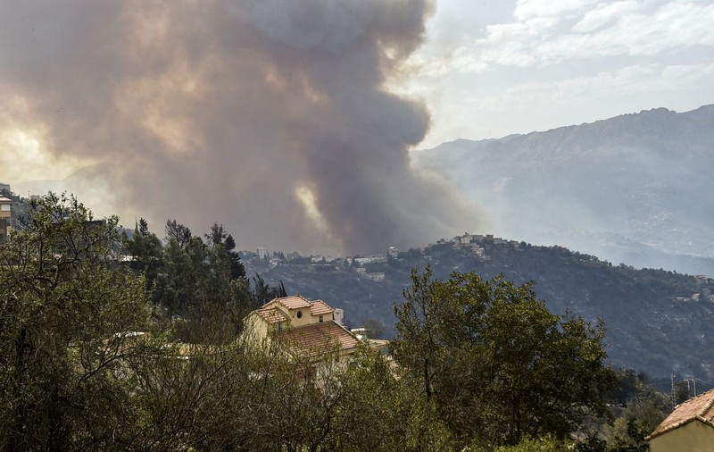 Cel puțin 65 de oameni au murit în incendiile violente de vegetație din Algeria