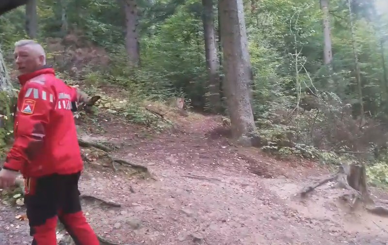 VIDEO|  Ursul care a atacat un grup de muncitori în Bușteni a fost prins de autorități. Animalul va fi relocat