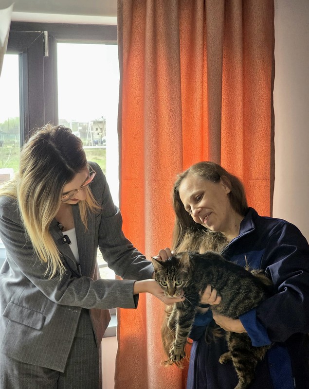 Ministerul Mediului a adoptat o pisică găsită în stare gravă şi salvată de o asociație. Diana Buzoianu: „Leia vine cu o poveste grea”
