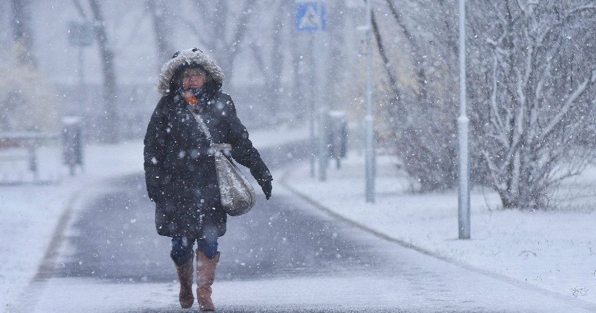 Fotografia surprinde o femeie mergând pe un drum acoperit de zăpadă într-un peisaj de iarnă. Fulgi de zăpadă cad dens, ascunzând părți din fundal. Copacii goi mărginesc drumul, iar în depărtare se vede un indicator rutier.